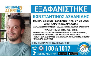 Καρύταινα: Ξεκίνησε να πάει στον Επικούριο και εξαφανίστηκε - Ολονύχτιες αναζητήσεις στην Ανδρίτσαινα