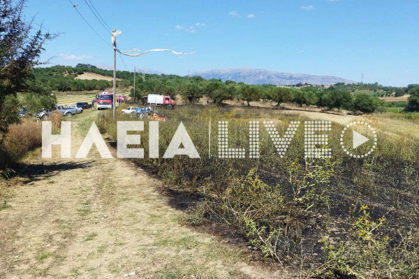 Λάττα Πηνείας: Πρόλαβαν τα χειρότερα οι πυροσβέστες