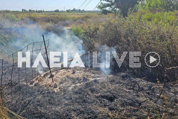 Παλαιοχώρι: Φωτιά σε ξερόχορτα κινητοποίησε την Πυροσβεστική
