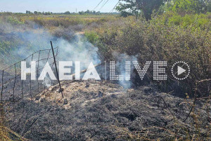 Παλαιοχώρι: Φωτιά σε ξερόχορτα κινητοποίησε την Πυροσβεστική
