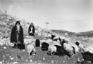 Η ποιμενική ζωή της δεκαετίας του ΄50 «μιλάει» μέσα από το αρχείο του Χ. Αραβαντινού που παραχωρήθηκε στην Ελληνική Λιβαδοπονική Εταιρία