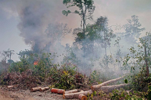 Γιατί ο Αμαζόνιος έχει μεγαλύτερη ατμοσφαιρική ρύπανση από το Λονδίνο και το Πεκίνο