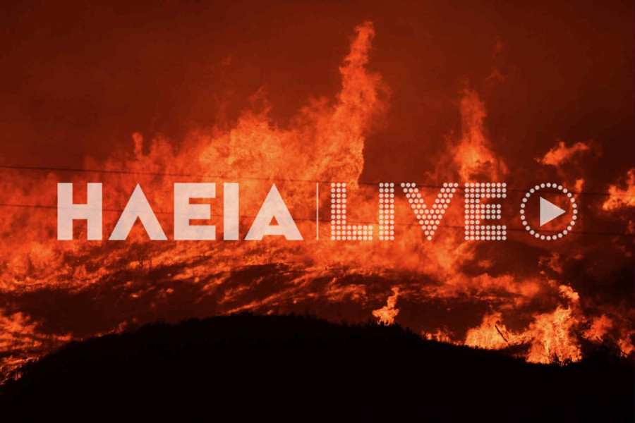 Φωτιές: 242 μέτωπα σε 4 ημέρες, 320 συλλήψεις από την αρχή του χρόνου για πρόκληση πυρκαγιών