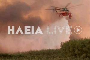 Λεχαινά: Οριοθετήθηκε η πυρκαγιά στην Αρετή