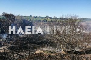 Μαρκόπουλο Τραγανού: Πέντε στρέμματα δασικής έκτασης καήκαν σε πυρκαγιά