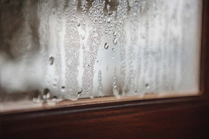 Υγρασία στο σπίτι: Το κόλπο με το αλάτι και άλλες 5 DIY λύσεις