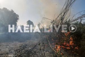 Σταφιδόκαμπος: Πυρκαγιά έκαψε ακαθάριστο λιοστάσι