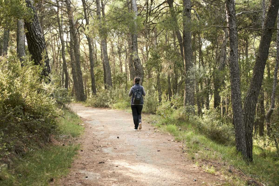 Η μεγαλύτερη διαδρομή πάνω στη Γη - Περπατώντας διασχίζεις 17 χώρες