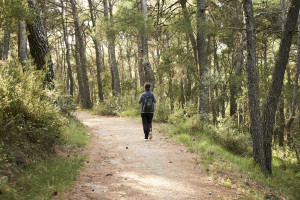 Η μεγαλύτερη διαδρομή πάνω στη Γη - Περπατώντας διασχίζεις 17 χώρες