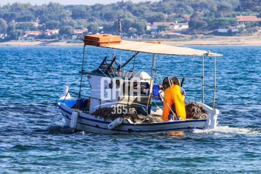 ΕΕ: Να ενεργοποιηθεί το ταμείο έκτακτης ανάγκης για την αλιεία