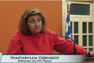 Οι «εφτά πληγές» των Ωνάσειων σχολείων