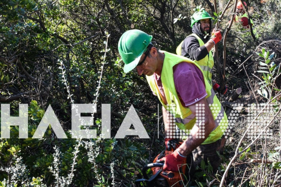 Δασαρχείο Ολυμπίας: Πάνω από το 50% η υλοποίηση του Antinero για τη διαπλάτυνση αντιπυρικών ζωνών