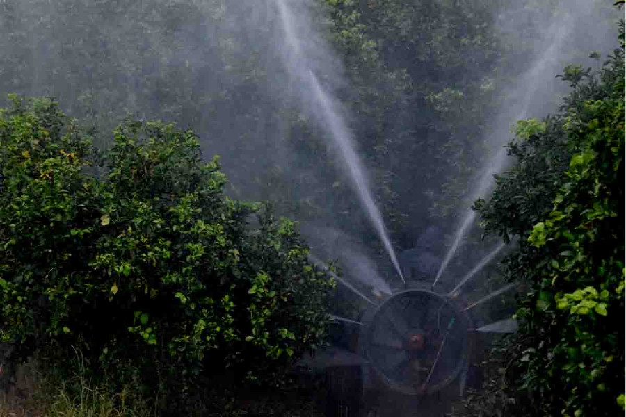Τρόφιμα: Ενισχυμένοι έλεγχοι για φυτοφάρμακα