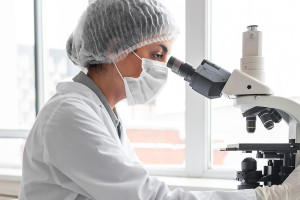 Ανακάλυψη προϊστορικού DNA αναθεωρεί την ιστορία των πληθυσμών στην Ανατολική Ασία
