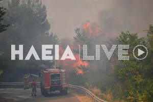 Νίκος Βελισσάρης: Σοβαρή η υποστελέχωση των βαρδιών στις Πυροσβεστικές Υπηρεσίες της Ηλείας