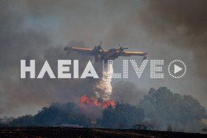 Μέλισσα Λεχαινών: Στάχτη 500 στρέμματα αγροτοδασικής έκτασης (photos &amp; video)