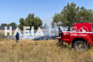Φωτιά τώρα στη Θεσσαλονίκη: Καίει στην περιοχή Παλιάμπελα Θέρμης - Επιχειρούν αεροσκάφη