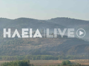 WWF για φωτιές: Οι καμένες εκτάσεις φέτος είναι ήδη πάνω από τον μέσο όρο 20ετίας