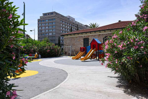 Ανησυχία για τις πικροδάφνες σε σχολεία και παιδικές χαρές - Οι διευκρινίσεις Βασιλακόπουλου