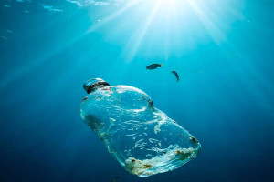 Ιαπωνία: Επιστήμονες δημιούργησαν πλαστικό που διαλύεται εντός ωρών στη θάλασσα