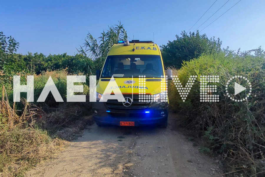 Σαβάλια: Τον βρήκαν νεκρό σε χωράφι - Πιθανότατα παθολογικά τα αίτια θανάτου