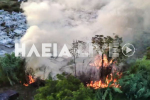 Μακρίσια: Πυρκαγιά προκάλεσε πανικό στο χωριό - Άμεση η επέμβαση των πυροσβεστών