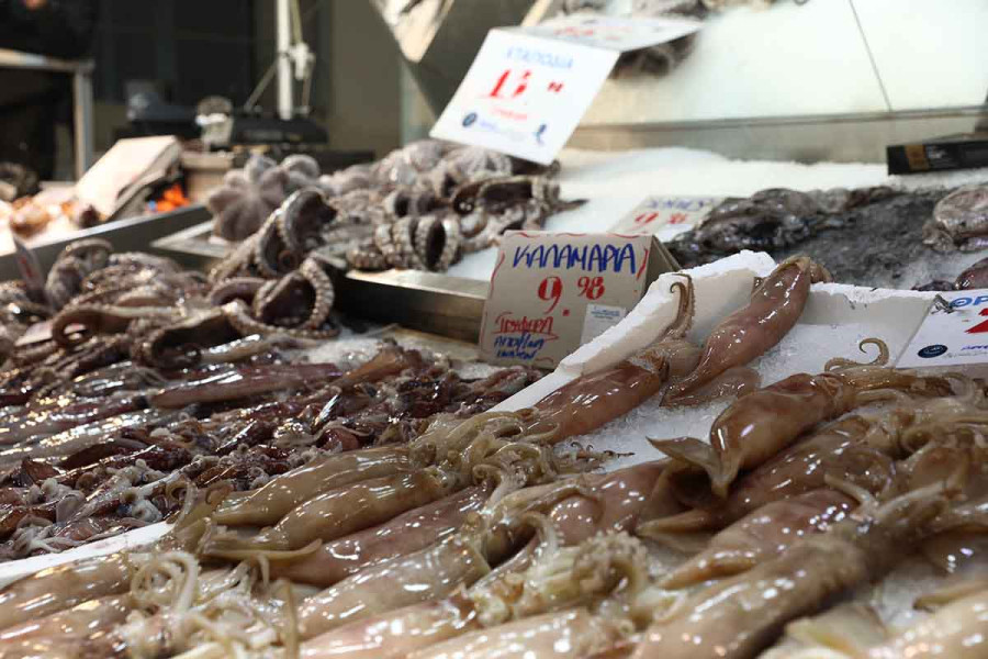 Πρόγραμμα 16 εκατ. για την αλιεία ανακοίνωσε από την Ιχθυόσκαλα ο Σχοινάς
