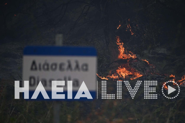 Νέος συναγερμός και μεγάλη κινητοποίηση για δύο φωτιές σε Διάσελλα και Άσπρα Σπίτια - Ήχησε 112