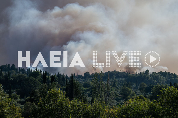 Ηλεία: Αναδασωτέες οι καμένες εκτάσεις σε Πύργο και Αρχ. Ολυμπία