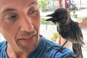 Ανέστης και Μπάμπης: Ο πυροσβέστης και το κοράκι στην Ξάνθη που έχουν βάλει φωτιά στο ίντερνετ – Αχώριστοι φίλοι [βίντεο]