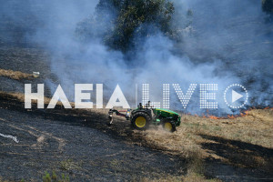 Αρχ. Ολυμπία: Αναδασωτέα η έκταση που κάηκε στην Κάμενα
