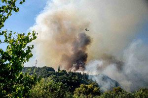 Ομολόγησε 19χρονος για εμπρησμό στα Συχαινά της Πάτρας - Τρεις συλλήψεις και μια προσαγωγή για τις φωτιές στην Αχαΐα