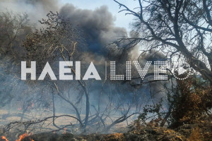 Καπελέτο: Οριοθετήθηκε η πυρκαγιά που έκαψε 70 στρέμματα