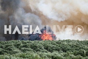 Αύξηση ευφλεκτότητας της νεκρής βλάστησης λόγω καύσωνα, ακραίος πυρομετεωρολογικός κίνδυνος την Τετάρτη