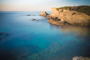 Βρέθηκε το ζώο που μπορεί να «κοστίζει» όσο 12 φορές η περιουσία του Μασκ!