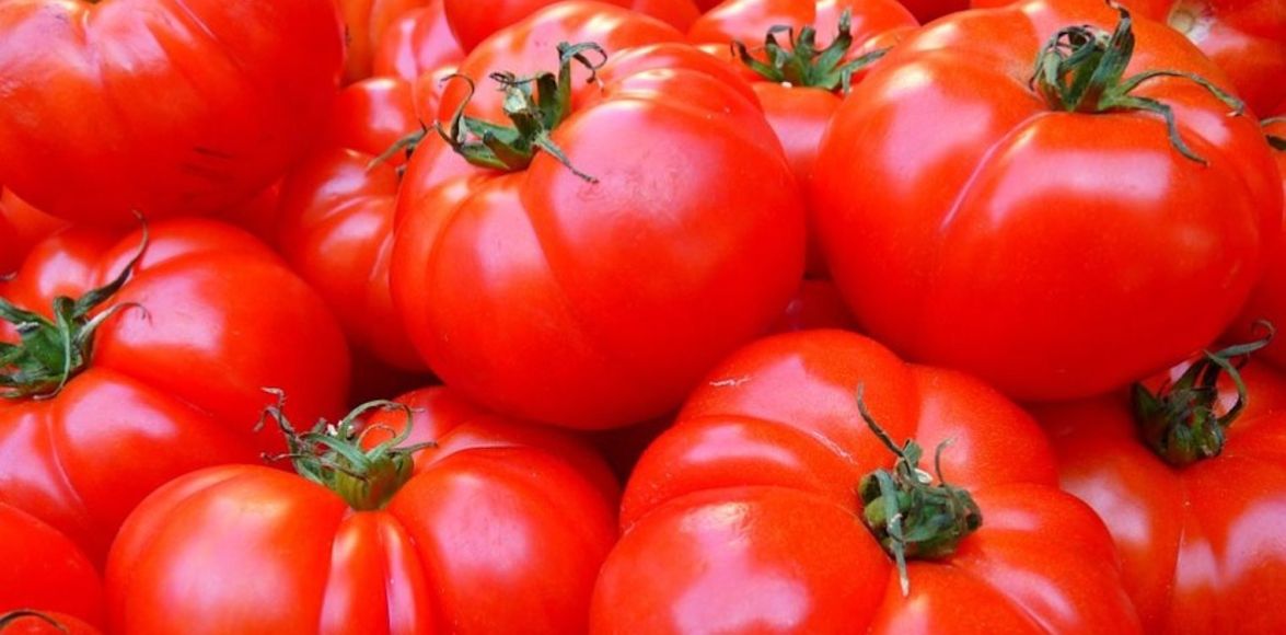 Εξαιρετικές οι προοπτικές για τη ντόπια ντομάτα, που κυμαίνονται οι τιμές