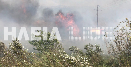 Σπιάντζα: Μαίνεται ανεξέλεγκτη η φωτιά (video)