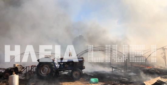 Παλαιοχώρι: Πυρκαγιά κατέστρεψε θερμοκήπια και τρακτέρ