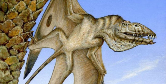 Ανακαλύφθηκε νέος πτερόσαυρος με δόντια καρφιά και κεφάλι σαν του πελεκάνου