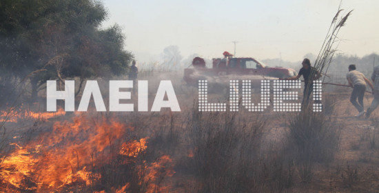 Πηνεία: Μεγάλη σε έκταση δασική πυρκαγιά στα Άγναντα