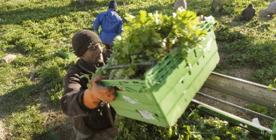 Ηλεία: Κίνδυνος να χάσουν την επιστροφή ΦΠΑ οι αγρότες