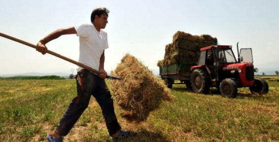 Δυτ. Ελλάδα: Ευκαιρία σε ανέργους και αυτοαπασχολούμενους στη γεωργία με προγράμματα επιδοτούμενης κατάρτησης