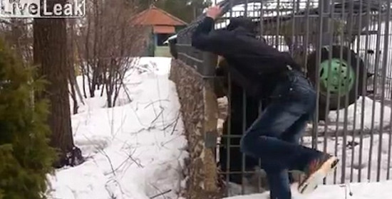 Βίντεο-σοκ: Αρκούδα κόβει το χέρι μεθυσμένου Ρώσου που πήγε να "παίξει" μαζί της
