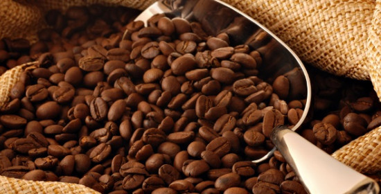 Από τους σπόρους στον Εσπρέσσο: Η ιστορία του καφέ σε ένα εντυπωσιακό χρονολόγιο 