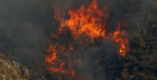 Αχαΐα: Σε εξέλιξη μεγάλη δασική πυρκαγιά στην περιοχή Πέτα 
