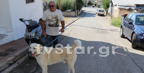 Κάτοικος της Στυλίδας «έφαγε» πρόστιμο 500 ευρώ επειδή ο σκύλος του... γαβγίζει! 