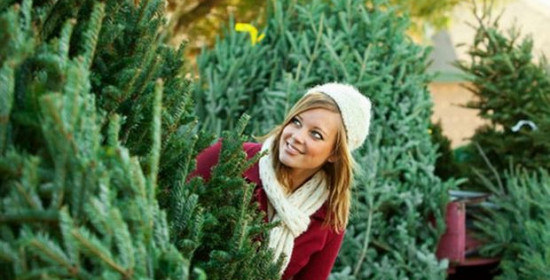 Πως να διαλέξεις το καλύτερο Χριστουγεννιάτικο δέντρο 
