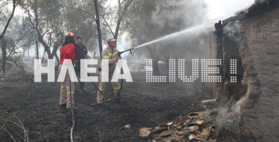 Δείτε video: Φωτιά στο Σκουροχώρι έκαψε αγροικία