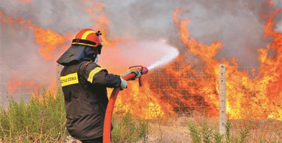 Γιαννιτσοχώρι: Δασική πυρκαγιά σε εξέλιξη προς Πρασιδάκι