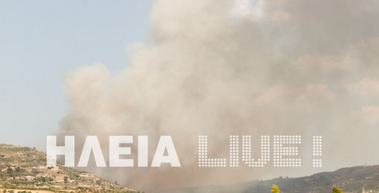 Γούμερο: Πυρκαγιά σε δύο μέτωπα στην περιοχή του Ασκητή